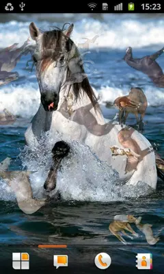 Horse Pictures Live Wallpaper android App screenshot 0