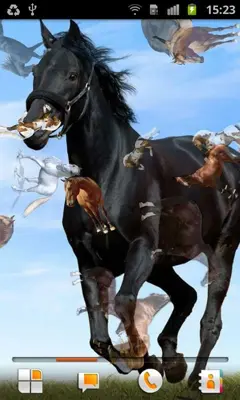 Horse Pictures Live Wallpaper android App screenshot 1