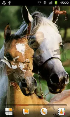 Horse Pictures Live Wallpaper android App screenshot 2