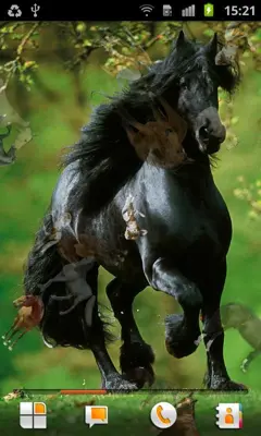 Horse Pictures Live Wallpaper android App screenshot 3